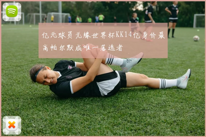 亿元球员无缘世界杯KK14亿身价最高帕尔默成唯一落选者
