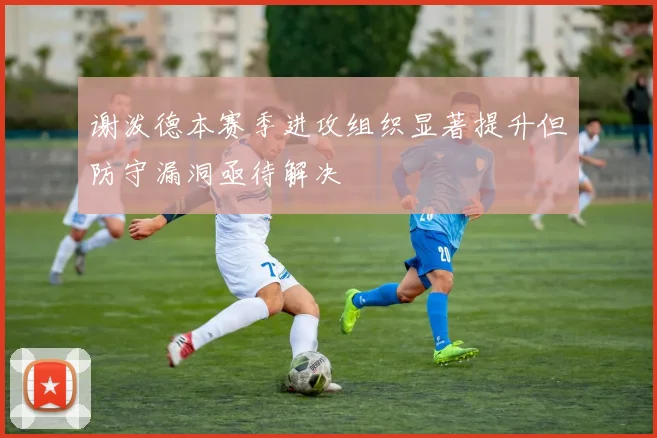 谢泼德本赛季进攻组织显著提升但防守漏洞亟待解决